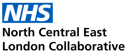 NCEL Logo